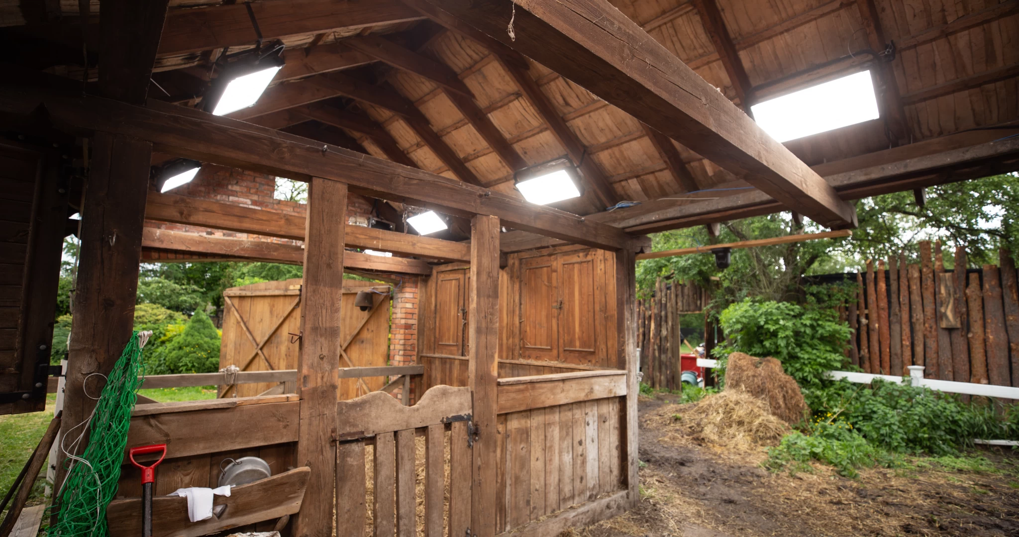 Green Beam Design - TVN Farma 2022