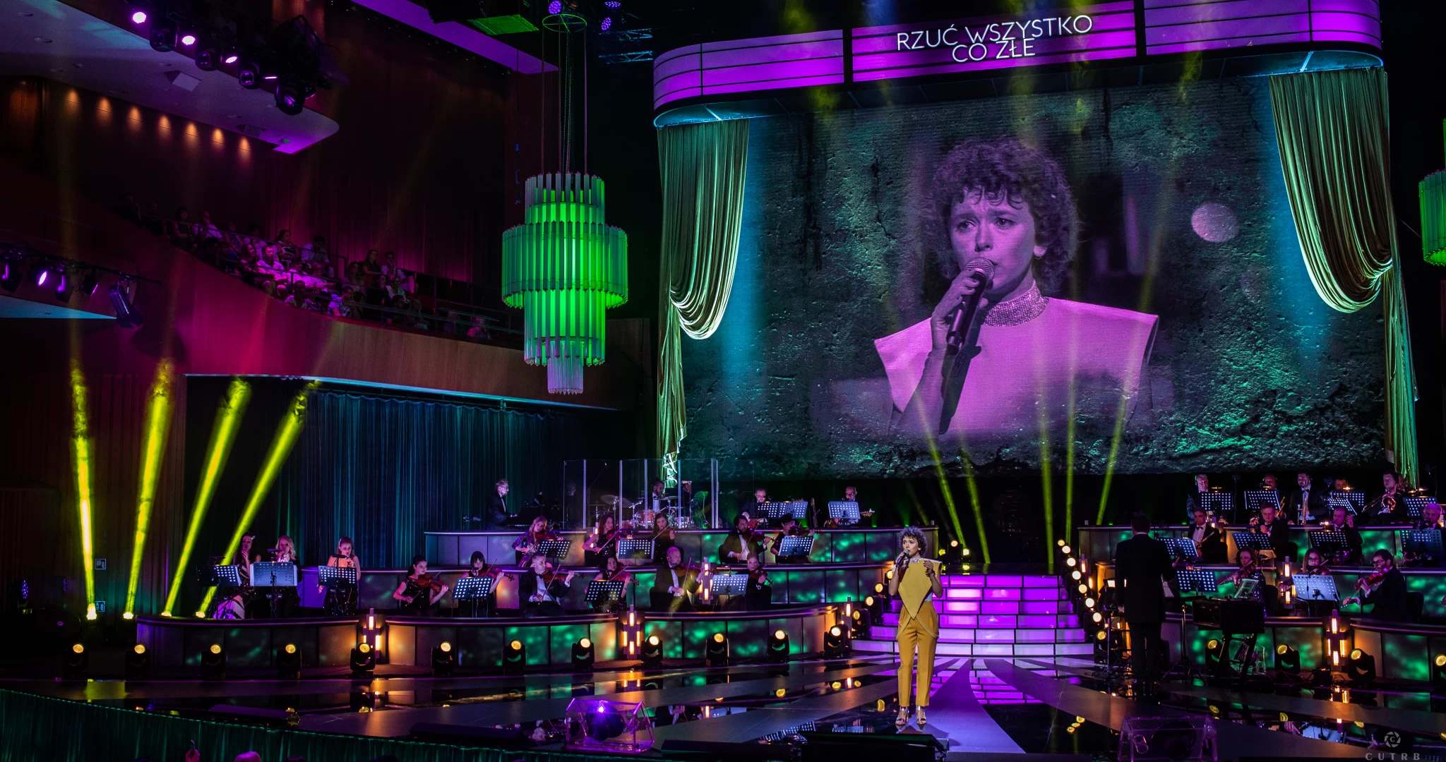 Green Beam Design - Wodecki Twist Festival 2019